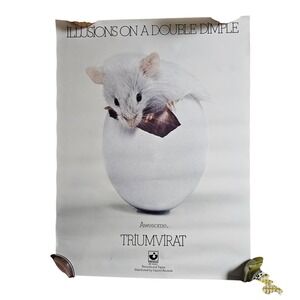 Triumvirat Illusions On A Double Dimple Vintage 1974 Promo Poster Display 18x24‎